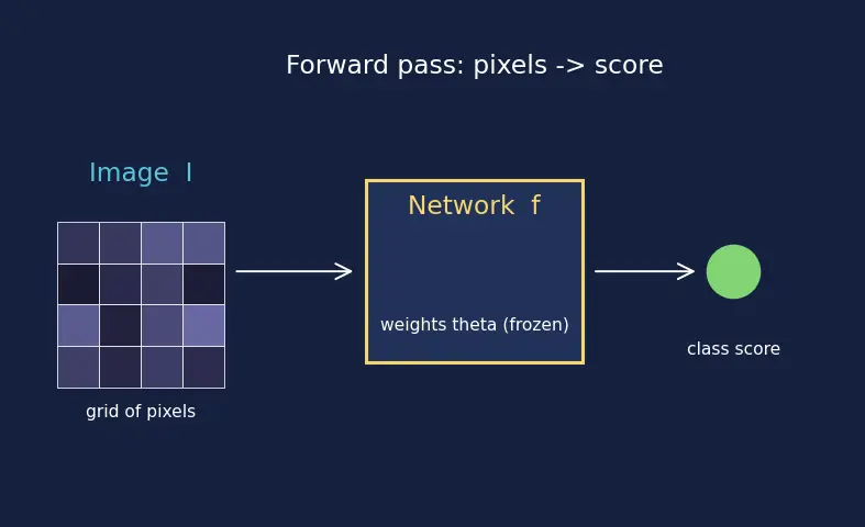 Figure — Saliency maps and Grad-CAM