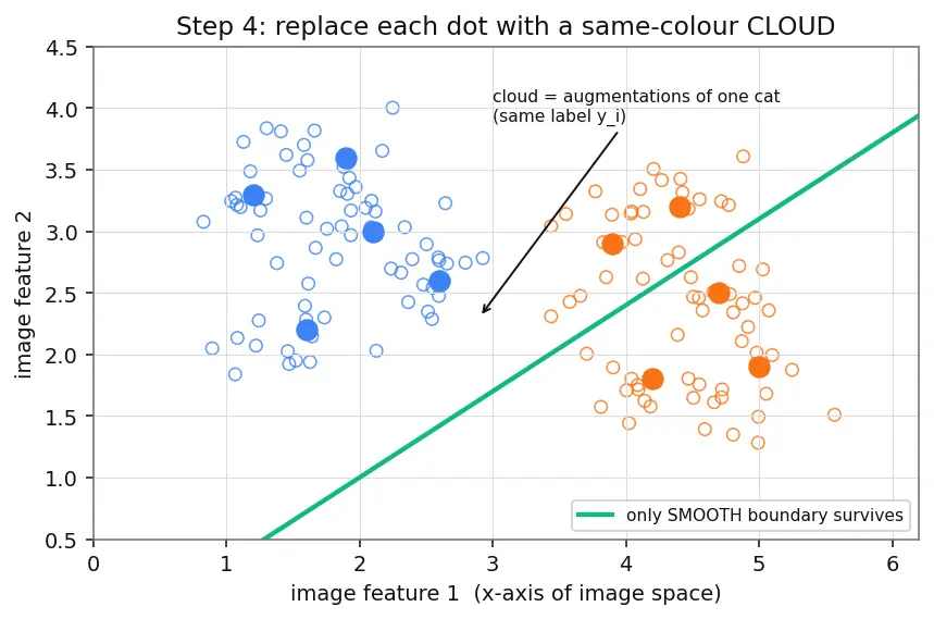 Figure — Data augmentation strategies