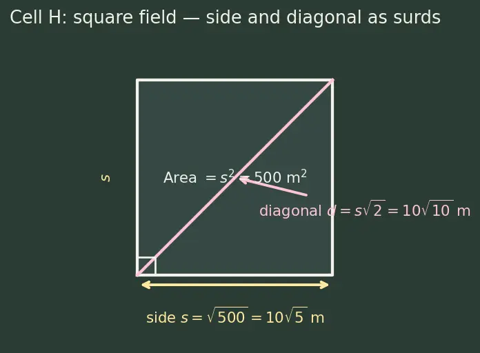 Figure — Radical (surd) expressions — simplification, rationalization