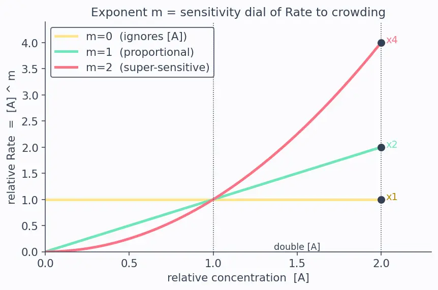 Figure — Rate law — order vs molecularity