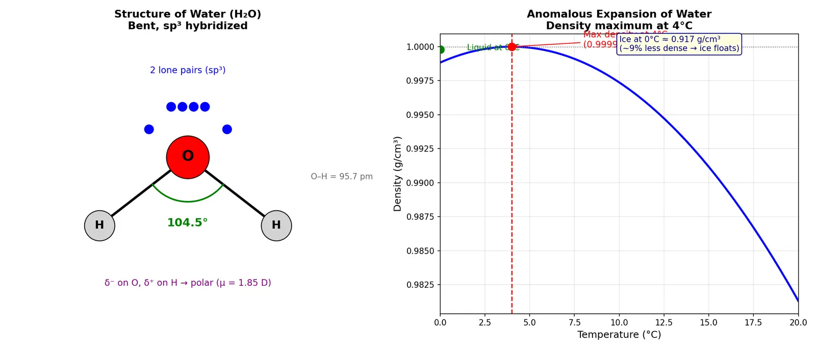 Figure — Water — structure (HOH = 104.5°), anomalous expansion, hardness (temporary - permanent), softening