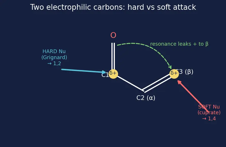 Figure — α,β-Unsaturated carbonyls — Michael addition, 1,2 vs 1,4 addition