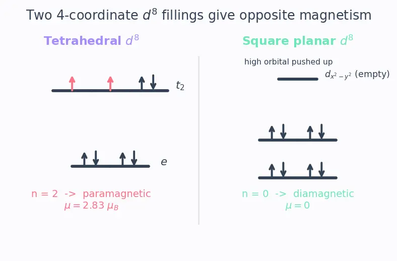 Figure — Magnetic moments of complexes