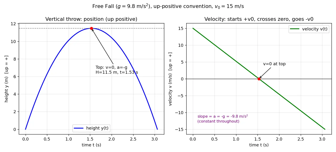 Figure — Free fall — g = 9.8 m - s², sign conventions