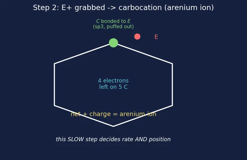 Figure — Activating vs deactivating groups; ortho - para vs meta directors; reactivity order