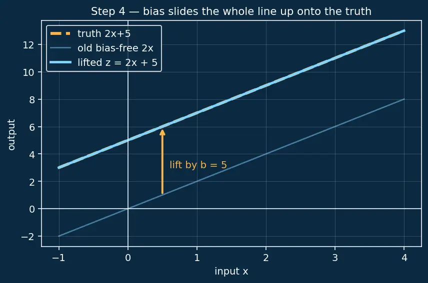 Figure — Bias terms and their role