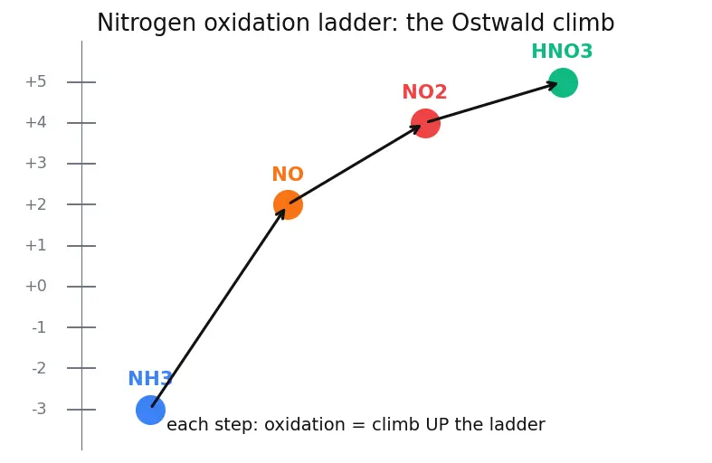 Figure — Group 15 (Nitrogen family) — N₂ inertness; NH₃ synthesis (Haber); HNO₃ (Ostwald); oxides of N (N₂O, NO, NO₂, N₂O₄, N₂O₅)
