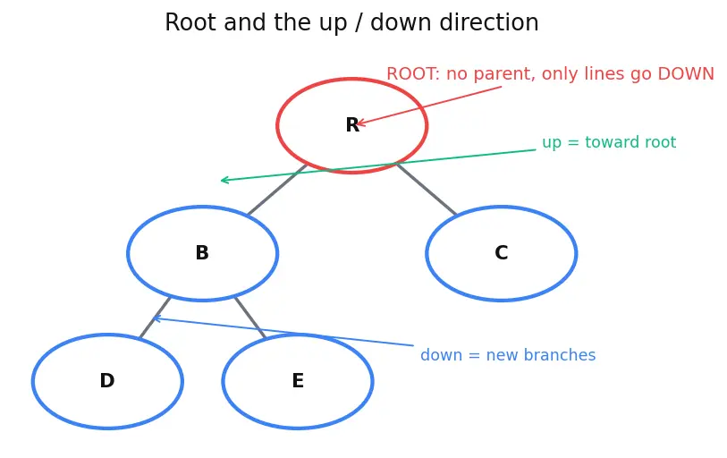 Figure — Tree terminology — root, leaf, height, depth, degree, subtree