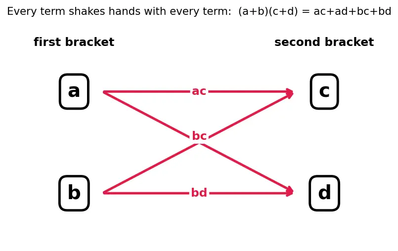 Figure — Multiplication of algebraic expressions — monomial × polynomial, polynomial × polynomial