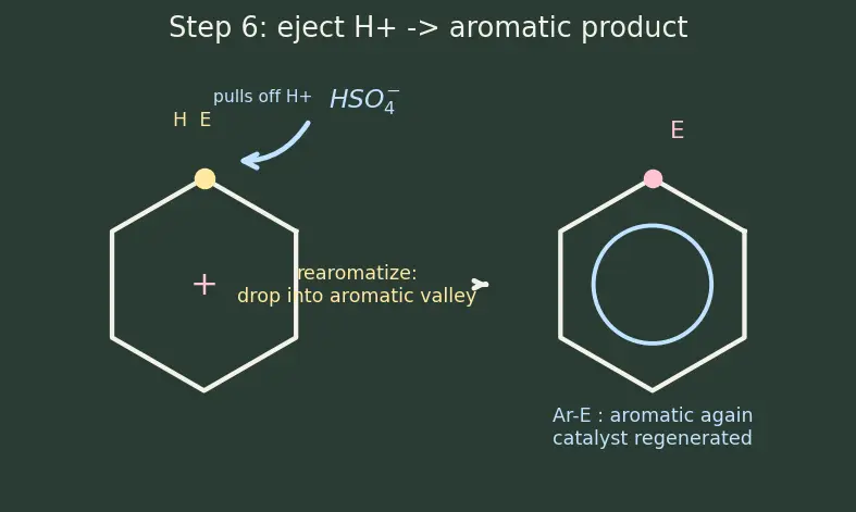 Figure — Electrophilic aromatic substitution (EAS) — nitration, halogenation, sulfonation, Friedel-Crafts alkylation - acylation;