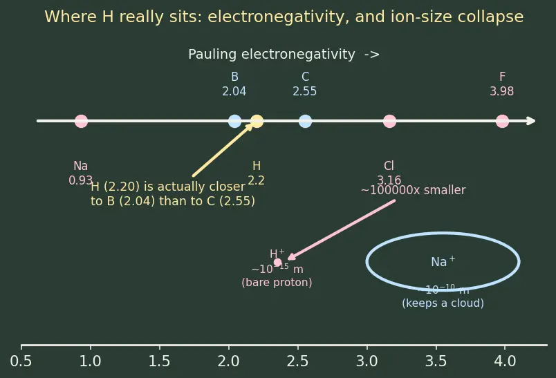 Figure — Position of hydrogen in the periodic table (anomalous)