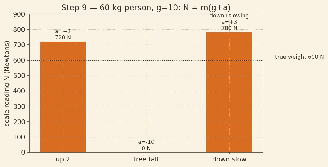 Figure — Weightlessness — true (free fall) vs apparent