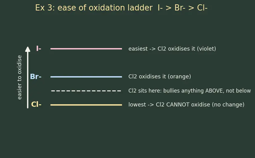 Figure — Common anions — Cl⁻, Br⁻, I⁻, SO₄²⁻, NO₃⁻, CO₃²⁻ — confirmatory tests