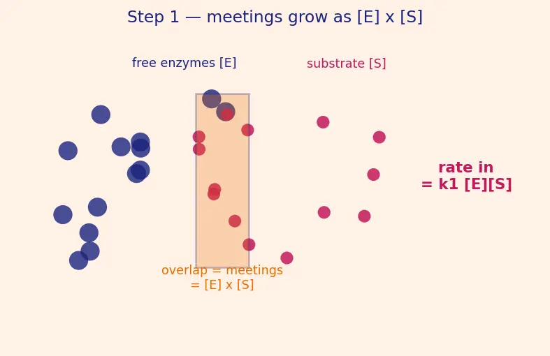 Figure — Catalysis — homogeneous, heterogeneous, enzyme catalysis