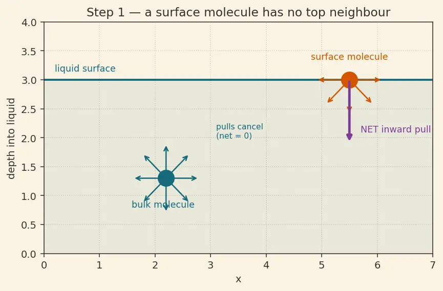 Figure — Surface tension — origin, Young-Laplace equation