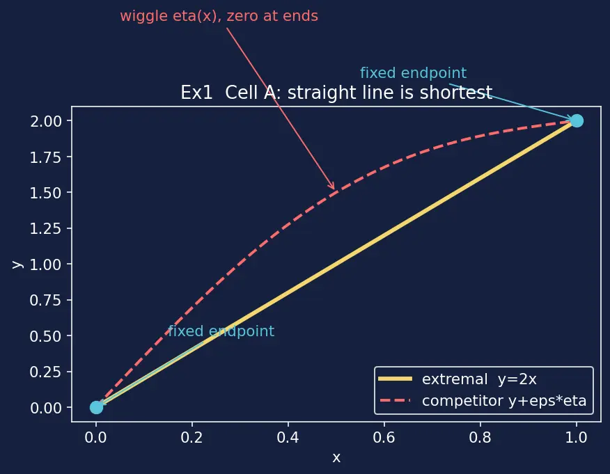 Figure — Euler-Lagrange equation — derivation