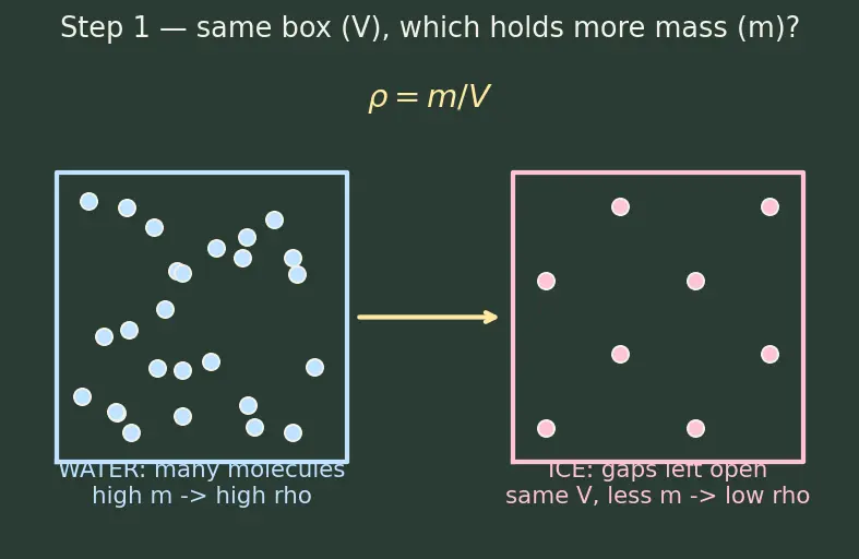 Figure — Hydrogen bonding — intermolecular, intramolecular; consequences (boiling points, water density)