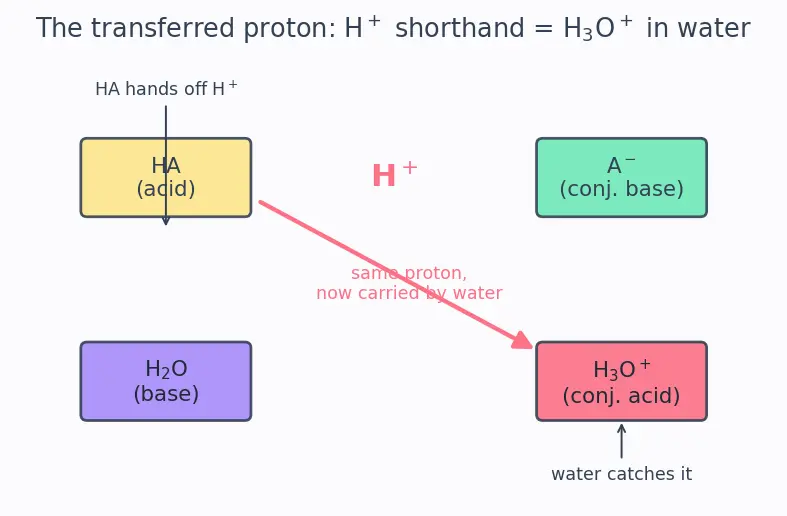 Figure — Conjugate acid-base pairs