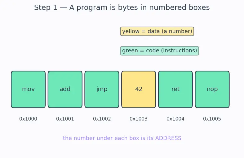 Figure — Dynamic - shared libraries — .so - .dll, dynamic linking, PIC