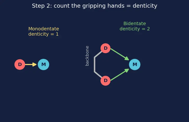 Figure — Ligands — classification (mono, bi, poly, ambidentate, chelating); denticity