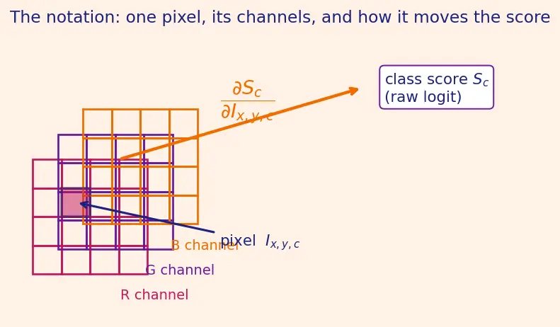 Figure — Saliency maps and Grad-CAM