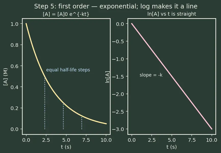 Figure — Differential rate equations for 0, 1st, 2nd order — derivations