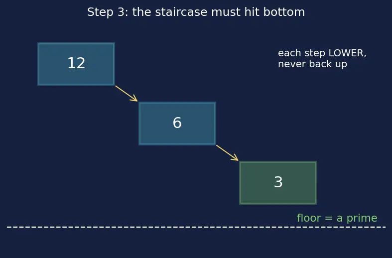 Figure — Prime factorization — factor trees, ladder method
