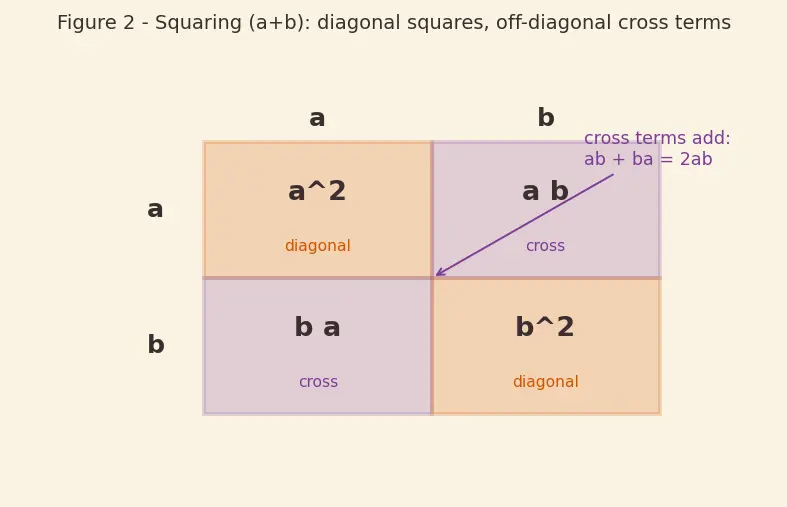 Figure — Multiplication of algebraic expressions — monomial × polynomial, polynomial × polynomial