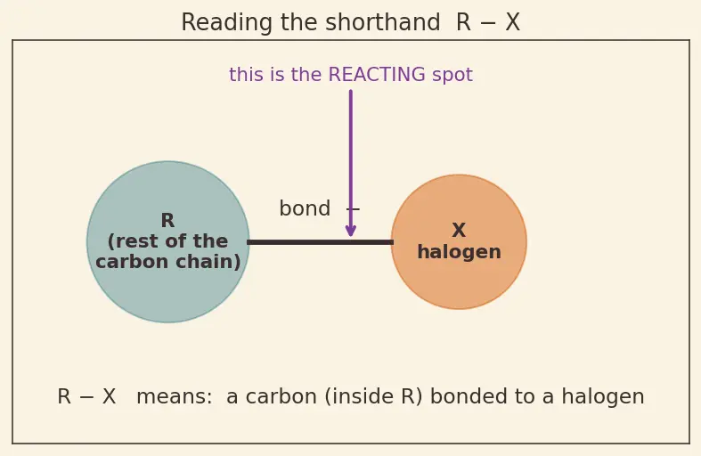 Figure — Alkyl halides — preparation, SN1 vs SN2 (mechanism, kinetics, stereochemistry), E1 vs E2 (mechanism, Zaitsev - Hofmann)