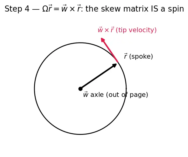 Figure — DCM kinematics — Ċ = −[ω×]C