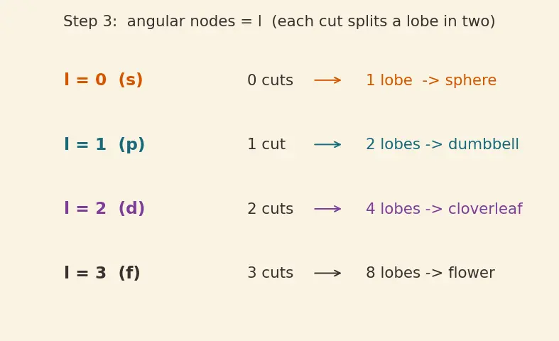 Figure — Orbital shapes — s (spherical), p (dumbbell), d (cloverleaf), f