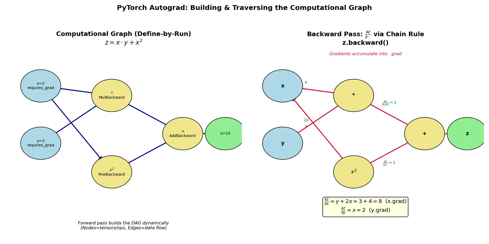 Figure — Autograd and computational graphs in PyTorch
