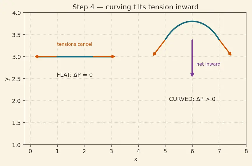 Figure — Surface tension — origin, Young-Laplace equation