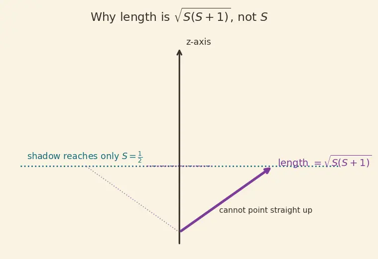 Figure — Magnetic moments of complexes