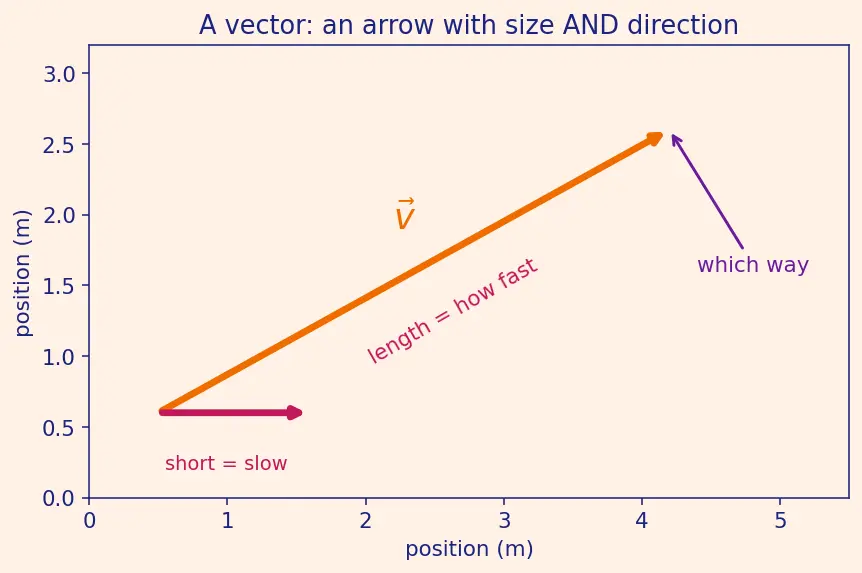 Figure — Conservation of linear momentum — derivation from Newton's third law