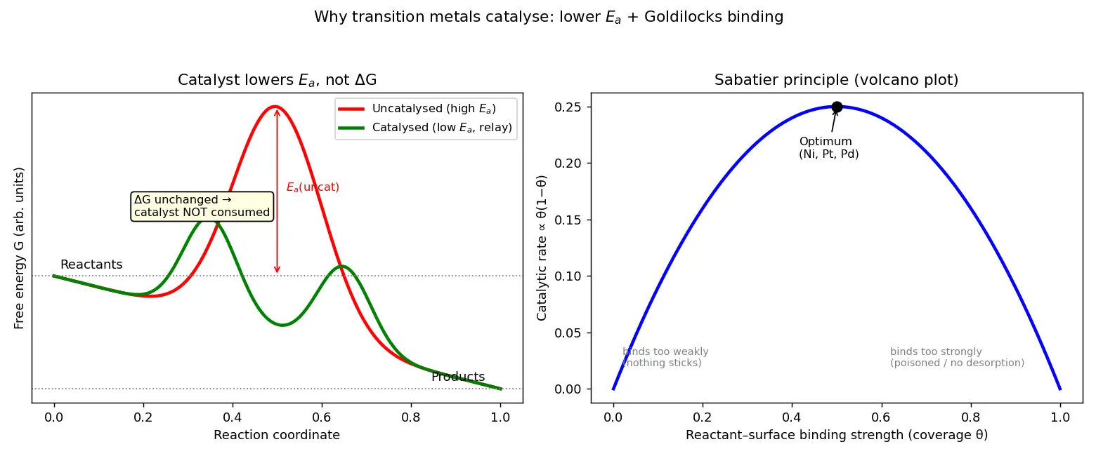 Figure — Catalytic properties — examples (V₂O₅, Fe, Ni, Pt)