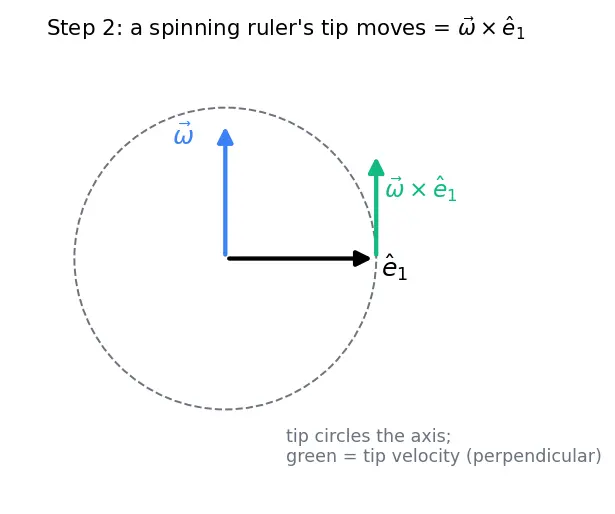Figure — Rotating frames — centrifugal force, Coriolis force