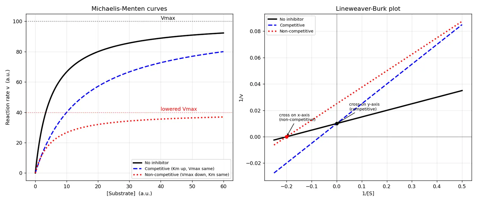Figure — Distinguish competitive and non-competitive inhibition