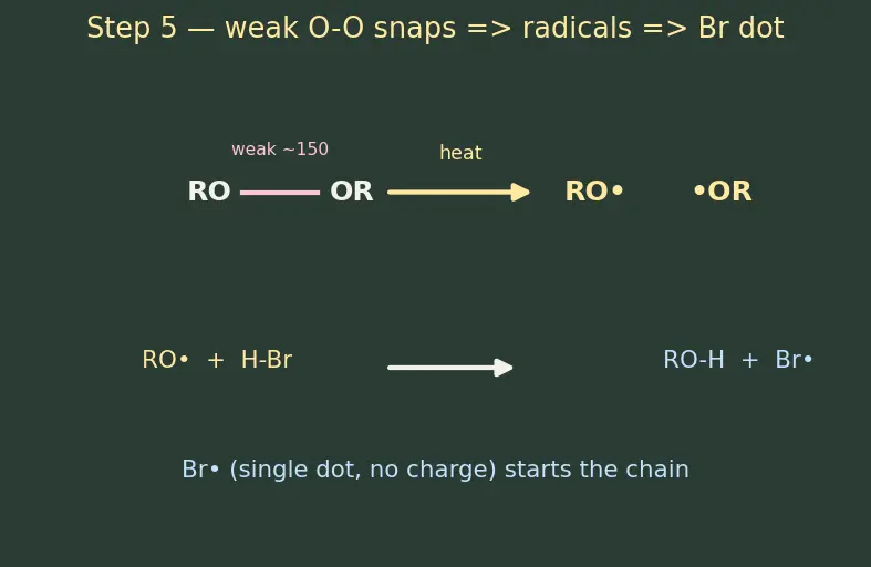 Figure — Markovnikov vs anti-Markovnikov (peroxide effect, Kharasch)