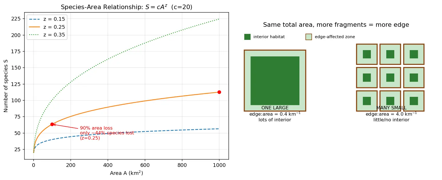 Figure — Describe habitat fragmentation effects