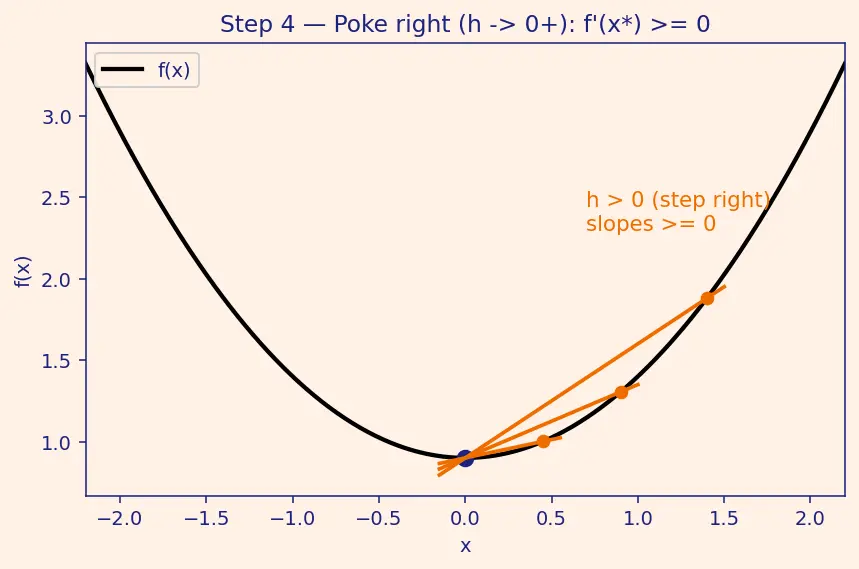 Figure — First-order optimality conditions — gradient = 0