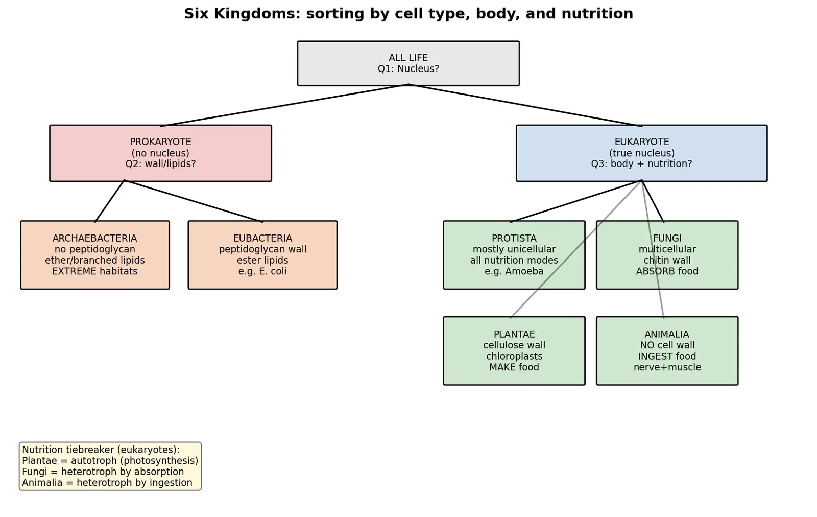 Figure — Characterize the six kingdoms
