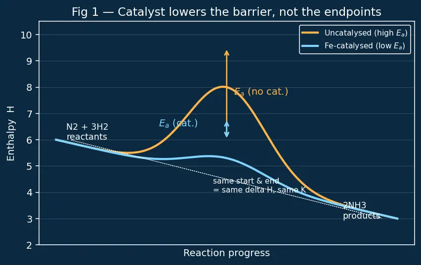Figure — Catalytic properties — examples (V₂O₅, Fe, Ni, Pt)