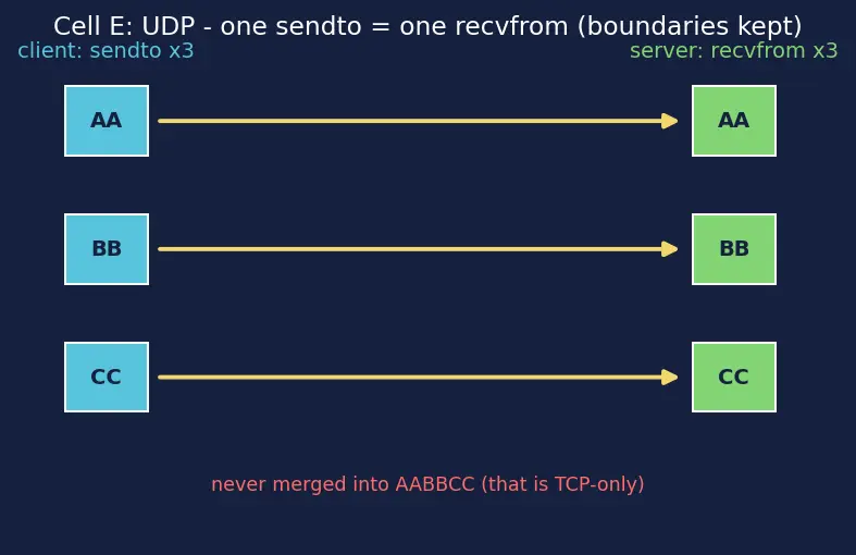 Figure — Socket programming — TCP server - client, UDP server - client in Python