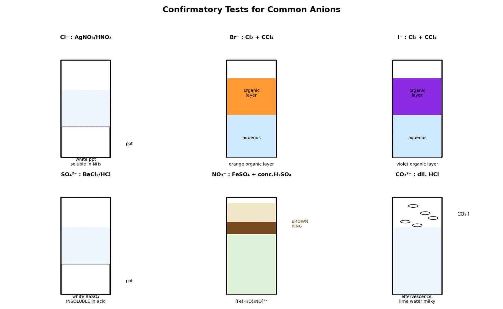 Figure — Common anions — Cl⁻, Br⁻, I⁻, SO₄²⁻, NO₃⁻, CO₃²⁻ — confirmatory tests