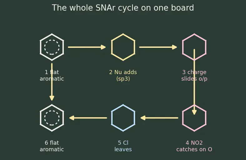 Figure — Aryl halides — low reactivity, addition-elimination (benzyne mechanism), nucleophilic aromatic substitution