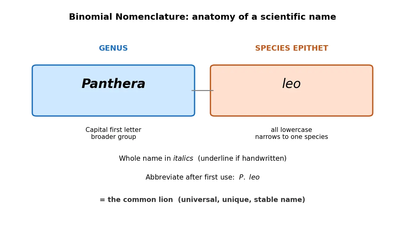 Figure — Describe the binomial nomenclature system