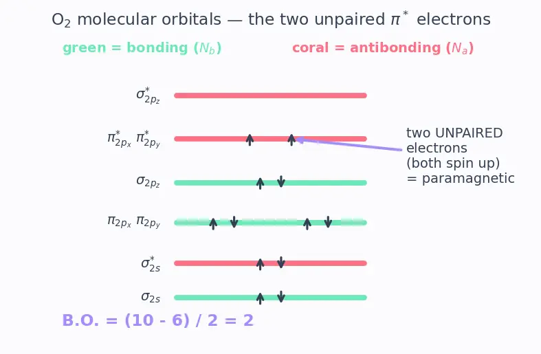 Figure — Group 16 (Oxygen family) — allotropes of O (O₂, O₃); ozone chemistry, ozone layer