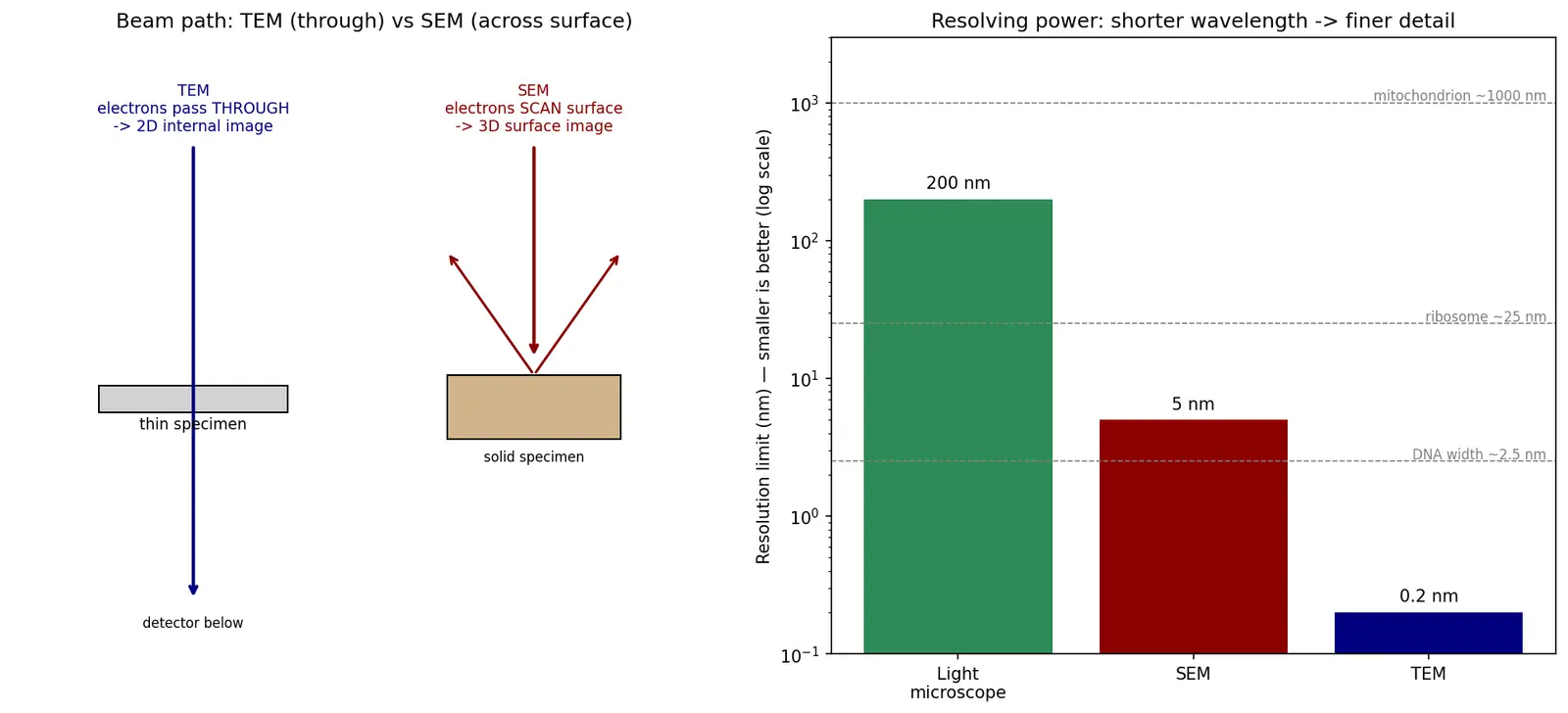 Figure — Compare light and electron microscopes (TEM, SEM)