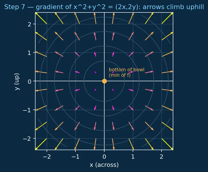 Figure — Vector fields — definition, visualization